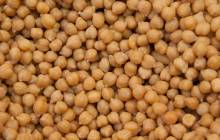 InnovoPro unveils clean label barista chickpea protein