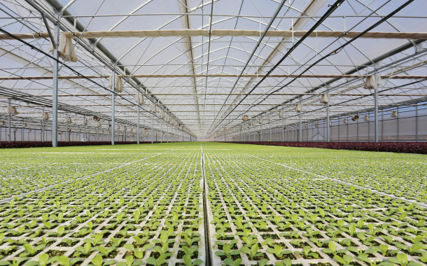 A healthy revolution