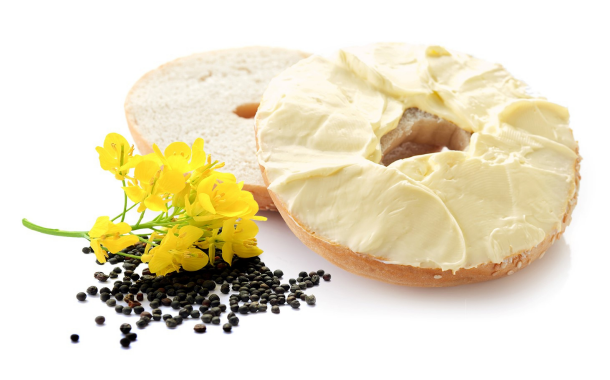 Welcome to a new plant-based protein source for dairy alternatives