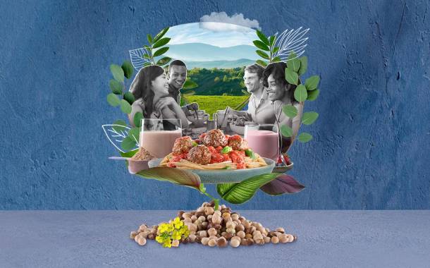 DSM launches plant protein free from major allergens