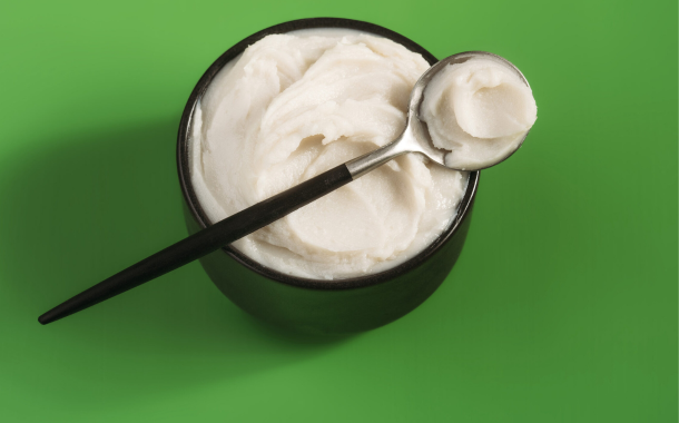 Shiru unveils plant protein-based fat ingredient to enhance alt-meat