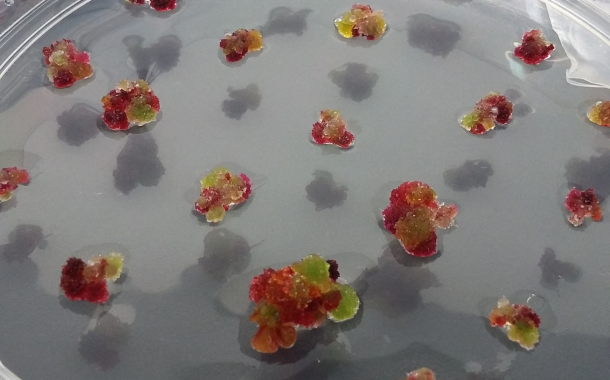 Ayana Bio appoints Jim Hamilton to board of directors