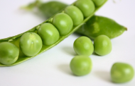 Pea protein project to reduce soya imports