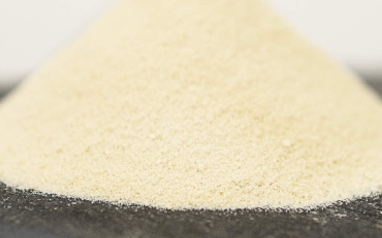 Arbiom debuts new yeast protein ingredient