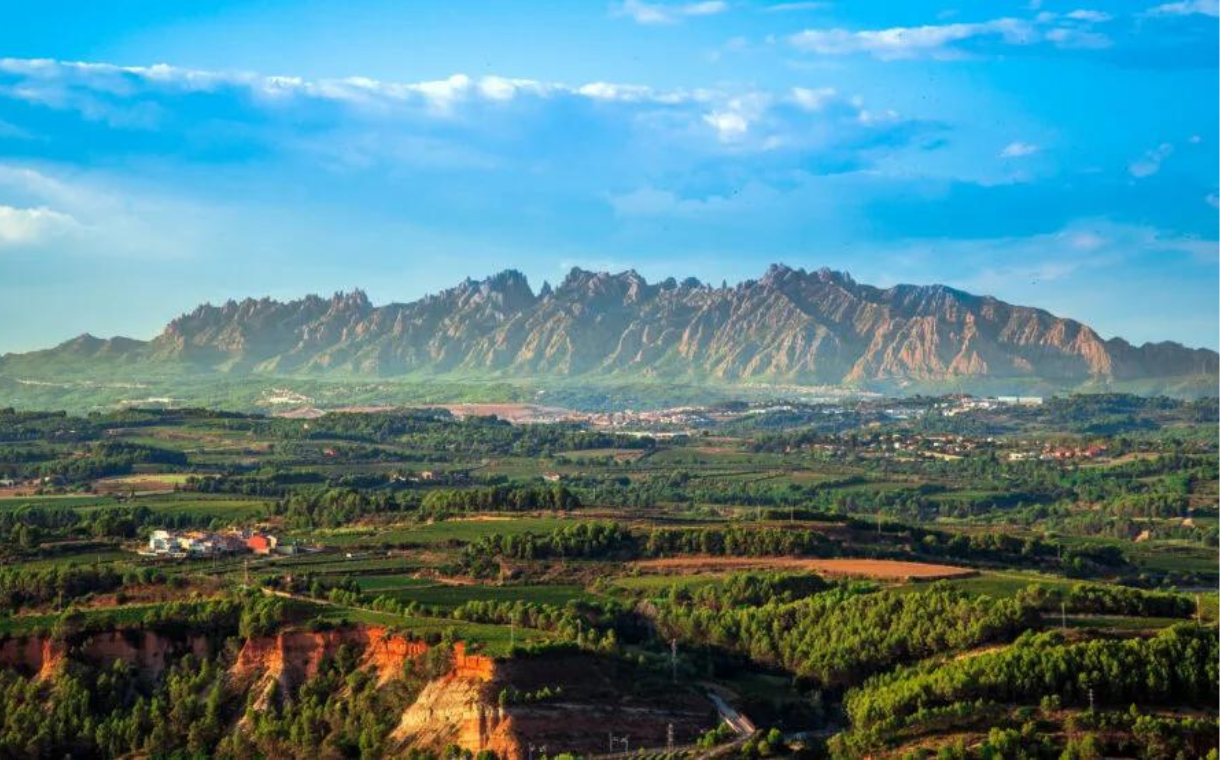 Catalonia invests €7m in alt-protein research