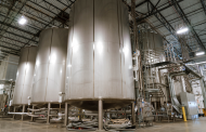 MycoTechnology launches Fermentation as a Service