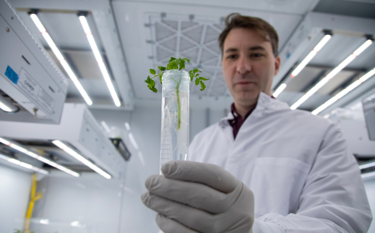 Start-up spotlight: Elo Life Systems