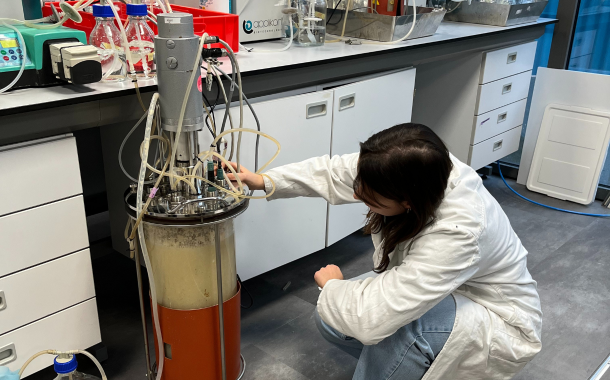 Bolder Foods unveils mycelium-based alt-cheese ingredient