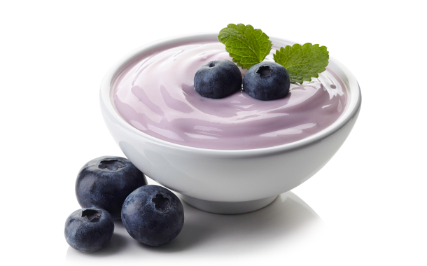 Planteneers expands offering with plant-based alternatives for fermented milk products