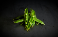 Roquette expands Nutralys pea protein range