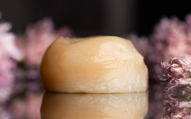 Aqua Cultured Foods partners with Ginkgo Bioworks on alt-seafood