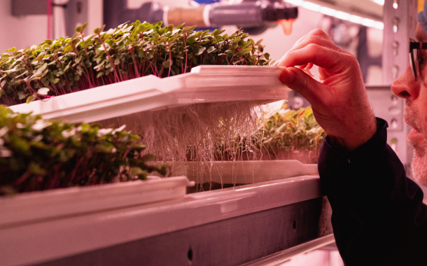 Ro-Gro unveils ‘industry-first’ B12-fortified pea shoots