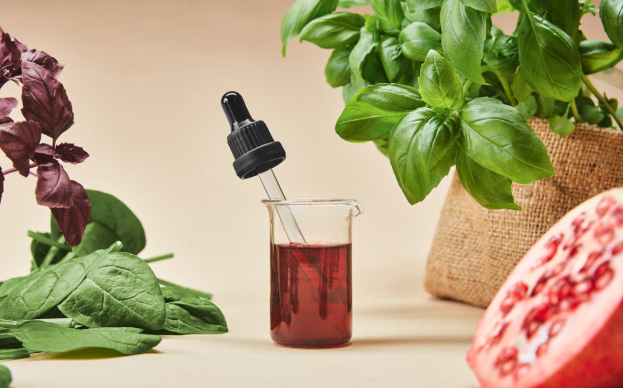 Ironic Biotech closes funding round for plant proteins high in iron