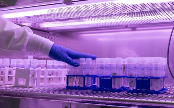 Opinion: Can synthetic biology solve the world’s food problems?