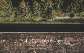 Opinion: EU deforestation regulation – The road to compliance