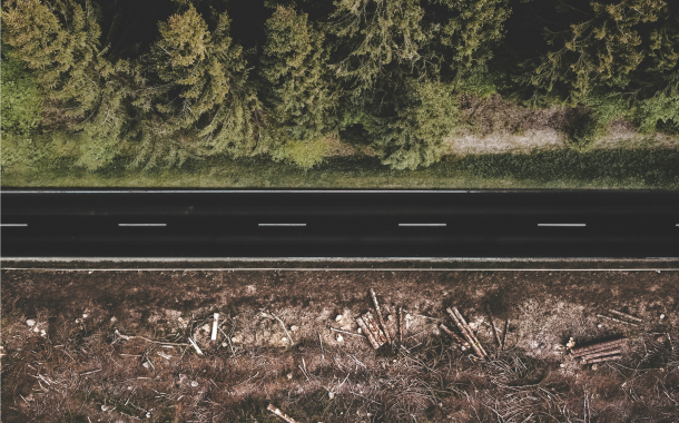 Opinion: EU deforestation regulation – The road to compliance