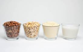 Roquette launches plant-based Nutralys Fava S900M ingredient